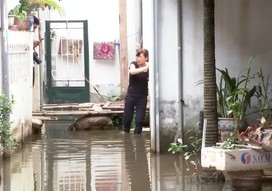 Hà Nội: Hơn 2 tuần sau trận mưa lớn, nhiều hộ dân ở quận Tây Hồ vẫn sống trong cảnh ngập lụt