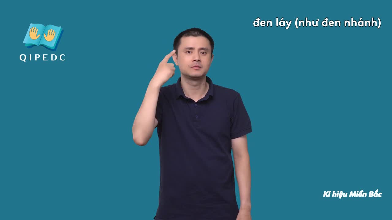 den-lay-nhu-den-nhanh-10743