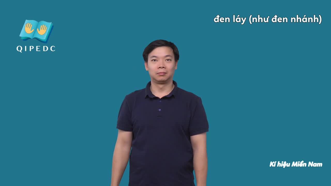den-lay-nhu-den-nhanh-10744