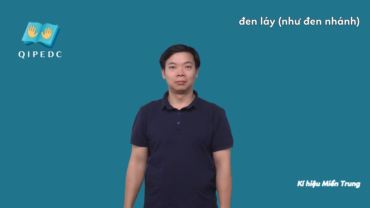 den-lay-nhu-den-nhanh-10748