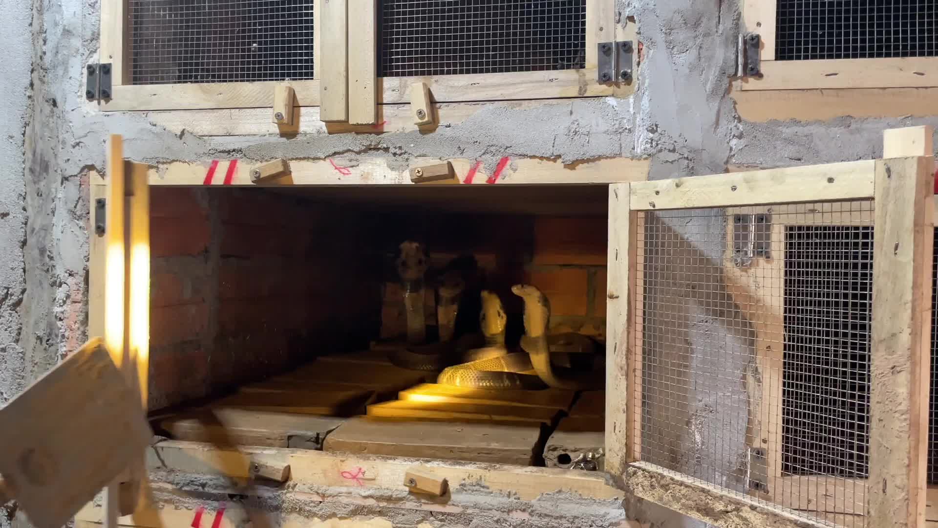 ga88 - Khám phá trải nghiệm đỉnh cao cho người hâm mộ bóng đá