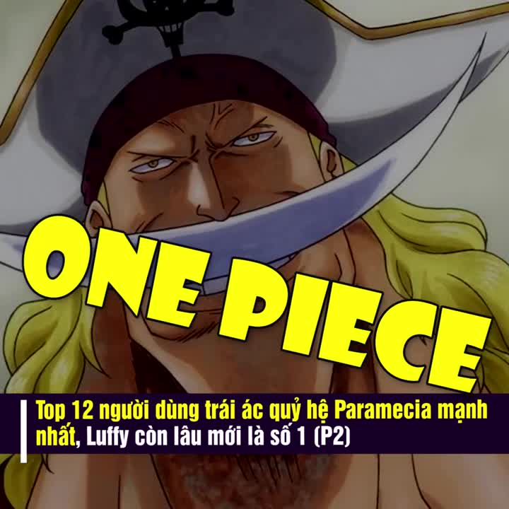 One Piece: Top 12 người dùng trái ác quỷ hệ Paramecia mạnh nhất, Luffy còn lâu mới là số 1 (P2) - Ảnh 2.