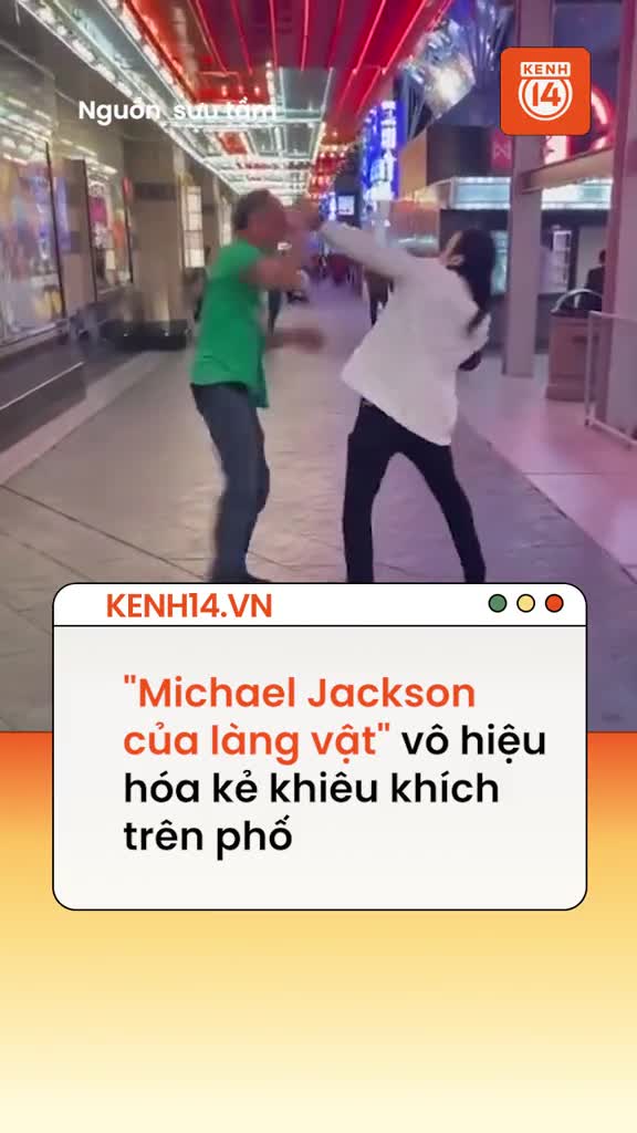 Bị khiêu khích trên phố, "Michael Jackson của làng vật" giải quyết nhanh gọn hút 2,4 triệu người xem