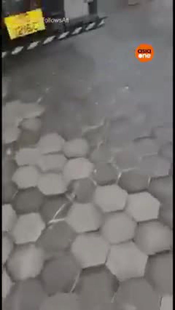 Phần chân đứt lìa được tìm thấy nằm chỏng chơ giữa đường khiến người