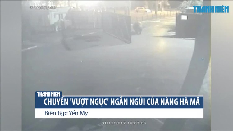 Chuyến 'vượt ngục' ngắn ngủi của cô nàng hà mã