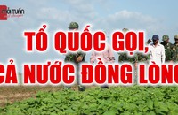 MỖI TUẦN MỘT CHUYỆN (Số thứ 52): Đồng lòng sẽ sớm đẩy lùi đại dịch