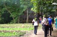 Lực lượng tuyến đầu chống dịch tham quan Củ Chi, Cần Giờ