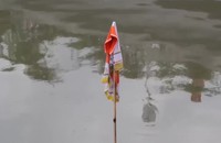 Cháu bé 7 tuổi mất tích trên kênh Tàu Hủ