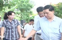 Bạc Liêu: Cây xoài hơn 300 năm tuổi được công nhận là cây di sản Việt Nam