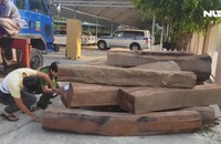 Bắt giữ xe đầu kéo chở gỗ căm xe với khối lượng lớn