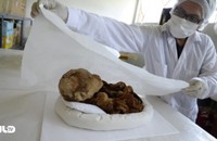 Xác ướp 1.000 năm tuổi của em bé sơ sinh còn nguyên vẹn