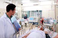 Bị cây cổ thụ ngã đè, bác sĩ trưởng khoa trọng thương