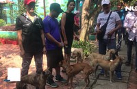 Ngắm những chú chó tuyệt đẹp tại cuộc thi chó ở Vĩnh Long