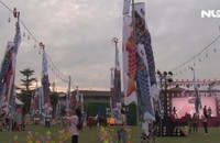 Ghi nhanh: Cánh đồng cá Koi “có một không hai” tại TP HCM