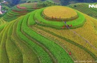 Trao giải “Tận hưởng bản sắc Việt” lần 2: Đất nước, con người Việt Nam đẹp mê ly