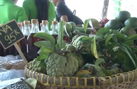 Vui cùng Ngày hội xanh “ Sống Xanh – Sống Khoẻ”