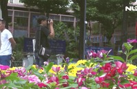 Ghi nhanh: Hàng ngàn bông hoa khoe sắc trước nhà thờ Đức Bà