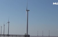 Ngỡ ngàng cánh đồng điện gió tuyệt đẹp ở Bạc Liêu