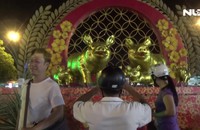 Thích thú chụp ảnh cùng “gia đình heo”