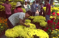 Chợ Hoa tết ngập tràn hương sắc