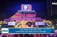 Lắp 80.000 chậu hoa tươi tại đường hoa nghệ thuật Cần Thơ