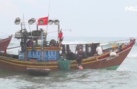 Ra khơi đầu năm, ngư dân trúng đậm “lộc biển”