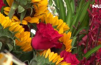 Ghi nhanh: Hoa tươi tăng giá trước ngày 8-3