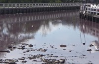 Người dân hoang mang vì nước kênh đổi màu đỏ bất thường