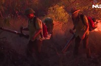 Nắng nóng như đổ lửa, hơn 15 hecta rừng bị cháy rụi