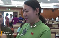 Đại biểu Phan Thị Hồng Xuân nói gì về cái lu chống ngập sau khi dư luận phản ứng?