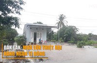 Đắk Lắk: Mưa lớn thiệt hại hàng ngàn tỉ đồng