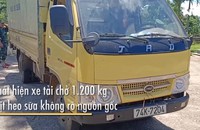 Bắt xe tải chở 1.200 kg thịt heo sữa không rõ nguồn gốc