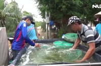 Phát triển các thương hiệu tôm từ Bạc Liêu