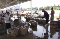 Kiểm tra khắc phục “thẻ vàng” thuỷ sản vùng biển Tây