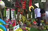 Bất ngờ với đường hoa tết có “một không hai” trong bệnh viện