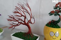 Độc đáo bonsai bằng dây đồng