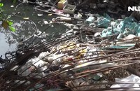 Dòng kênh ô nhiễm nặng giữa lòng thành phố Bạc Liêu