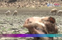 Hình ảnh đáng sợ ở sa mạc khốc liệt nhất Việt Nam