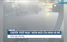 Chuyến 'vượt ngục' ngắn ngủi của cô nàng hà mã