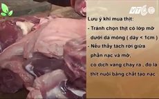 Cách phân biệt thịt lợn chứa chất tạo nạc