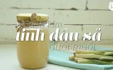 Cách làm tinh dầu sả chống muỗi vô cùng hiệu quả