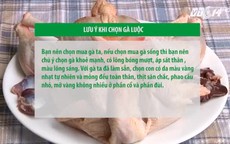 Bí kíp chọn gà ngon và đẹp