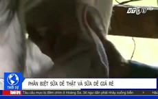 Cách phân biệt sữa dê thật và sữa dê giá rẻ