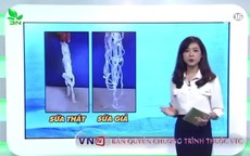 Mẹo giúp bà nội trợ phân biệt sứa thật, sứa giả