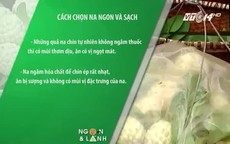 Cách chọn na ngon và sạch