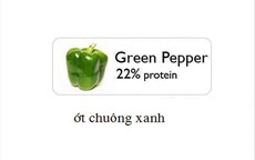 Top 10 rau xanh giàu protein