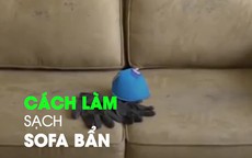 Cách làm mới ghế sofa cũ, bẩn