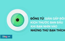 Những điều thú vị về đôi mắt có thể bạn chưa biết