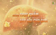 Những thực phẩm gây hại cho gan