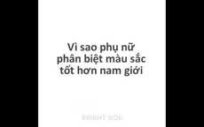 Vì sao phụ nữ phân biệt màu sắc tốt hơn nam giới?